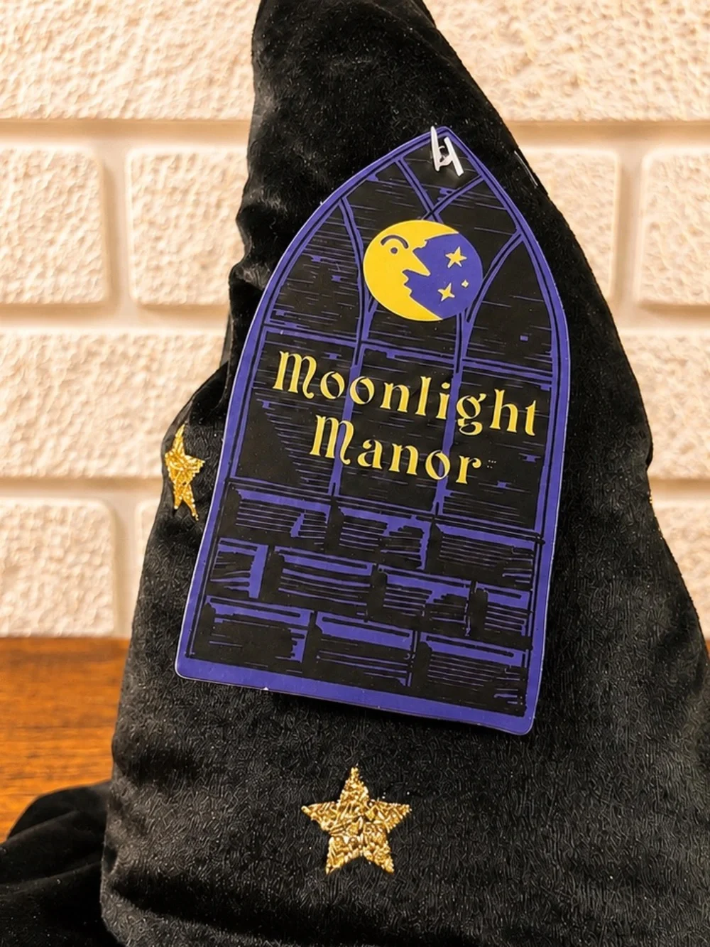 2026 Viral Moonlight Manor Wizard Frog Black Holding Pumpkin